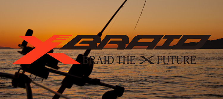 XBRAID