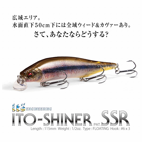 新品　絶版　メガバス　ito'sカスタム　ggテネシー メガバス バスルアー ITO SHINER SSR GG テネシーシャッド(ﾃﾈｼｰｼｬｯﾄﾞ