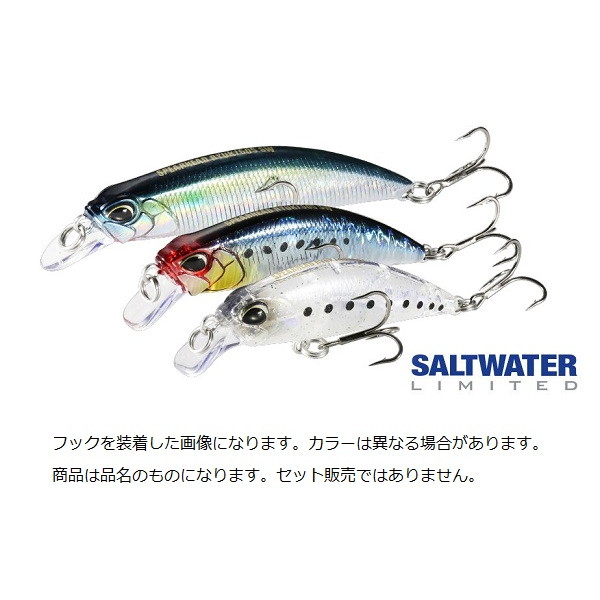 デュオ スピアヘッド リュウキ60S SW CPB0054 玄海イワシ: ソルト