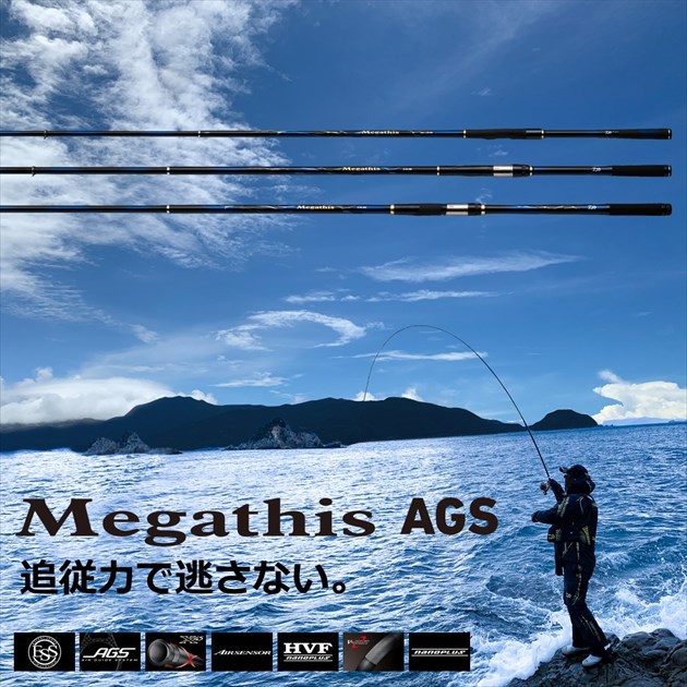 メガディス　AGS 1.75