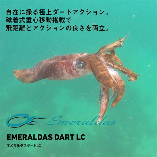 入手困難　廃盤　ダイワ　アゴリグ対応　エメラルダスダート24本セット 入手困難 廃盤 ダイワ アゴリグ対応 エメラルダスダート24本