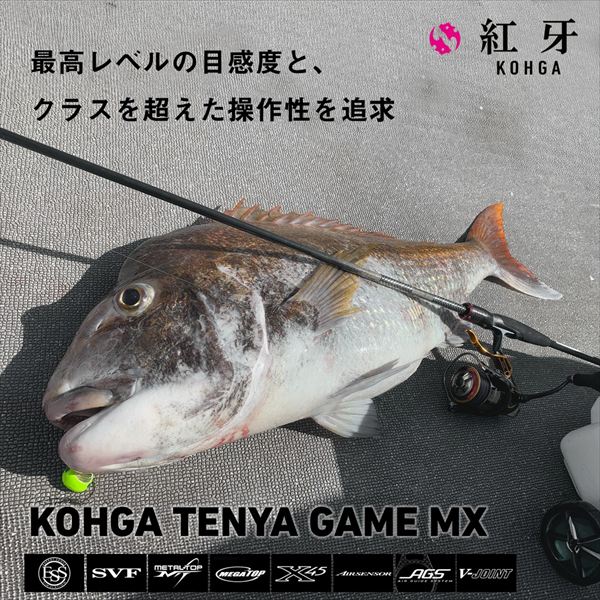 ダイワ 一つテンヤ竿 紅牙テンヤゲームMX H-215B・J(ベイト 2ピース