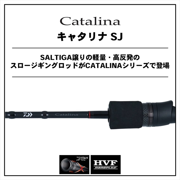 DAIWA（ダイワ） 20 キャタリナ SJ 60B-3 CATALINA