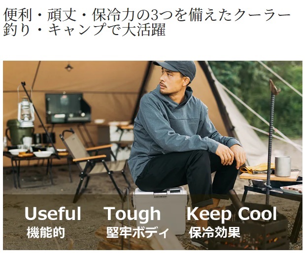 シマノ クーラボックス NF-422V フィクセル ライト 22L グレー: クーラーボックス｜釣具の通販ならキャスティングオンラインストア【公式】