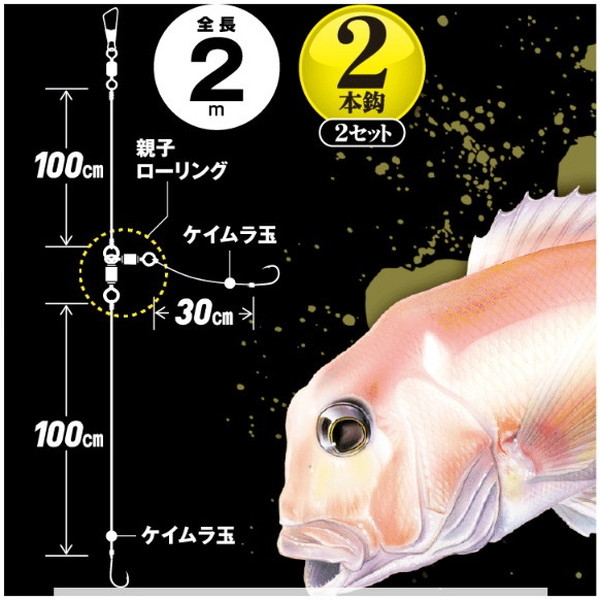 ネコポス対象品】ハヤブサ 仕掛け 大アマダイ フロロカーボン仕様 2本