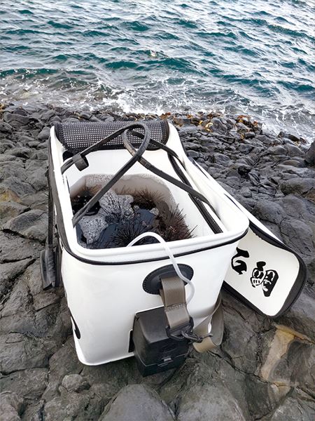 バッカス タカ産業 バッカン G4ウニバッカン ホワイト: バケツ・バッカン