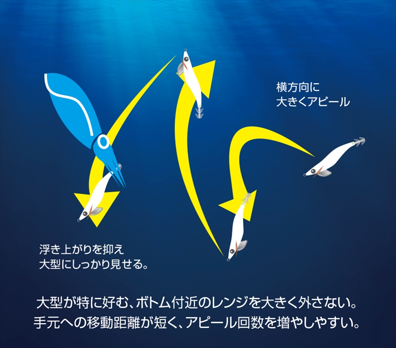 シマノ セフィア クリンチ クロスカウンター 3．8号 Kグルクン
