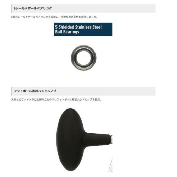 PENN ペン ベイトリール FathomII(ファゾムII) 25NLD: リール