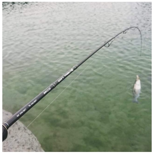 テイルウォーク トラウトロッド シルバーナ ラゴ エリアトラウトロッド 58/SL Micro(2ピース)  58/SL テイルウォーク トラウトロッド シルバーナラゴ 58/SL Micro: 竿｜釣具