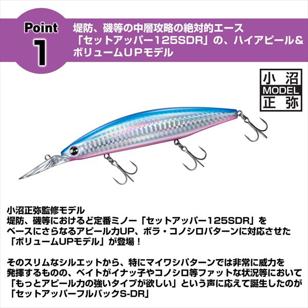 ネコポス対象品】ダイワ シーバスルアー SLZセットアッパーFB 125SDR