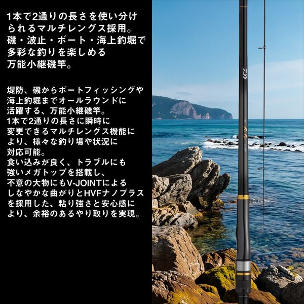 予約品】 ダイワ 磯竿 小継飛竜 2-36MP・E(5ピース) 【9月中旬頃発売