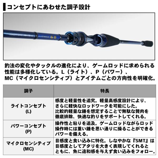 更に価格においてのご理解と最終値下‼️ダイワ　極鋭　コンセプトゲーム　Ｌ　ＭＨ-185AGS