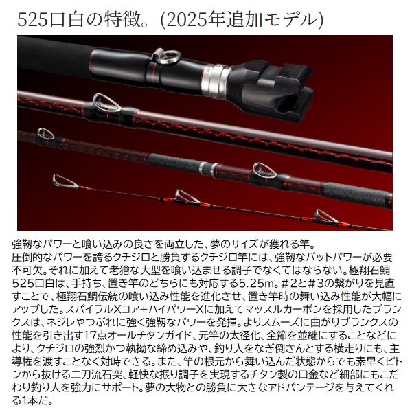 シマノ 石鯛竿 24極翔 石鯛 525 口白【大型商品】【即日発送】: 竿