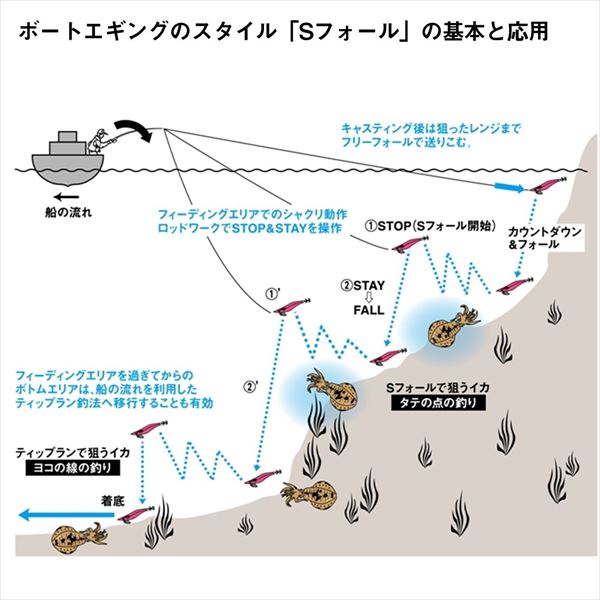 ダイワ エギ エメラルダス ボートRV 3.0-25g 青-パープル【即日発送