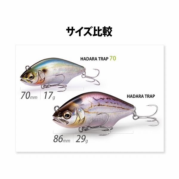 メガバス シーバスルアー ハダラトラップ 70 FA ボラ: ソルトルアー