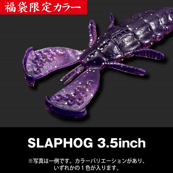 予約品】 メガバス 2026年福袋 MEGABASS SET 【12月下旬頃発売予定 ※他