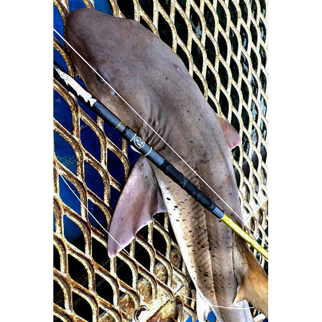 ジェットスロウ ポルタメント 73C【即日発送】: 竿｜釣具の通販なら