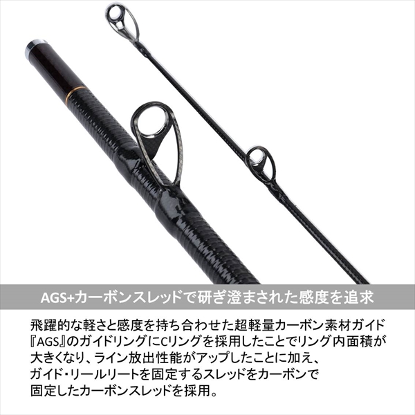 発売モデル TANA企画ダイワ DAIWA 並継投げ竿 トーナメント プロキャスター AGS 27-385 釣り竿