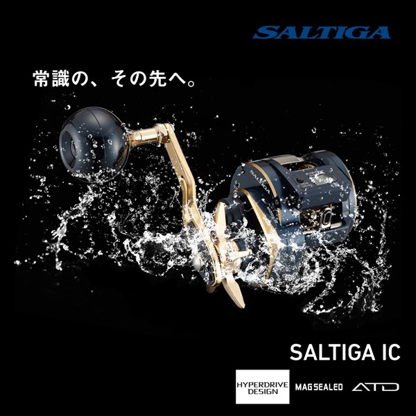 ダイワ(DAIWA) 21 ソルティガIC