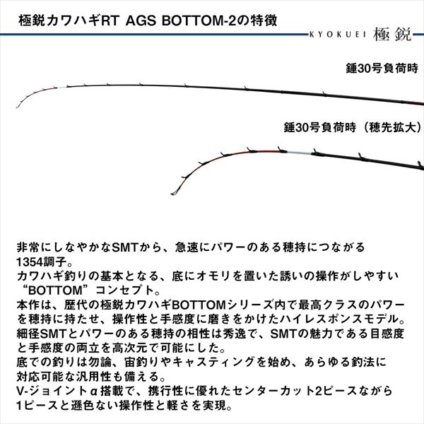 ダイワ カワハギ竿 極鋭カワハギRT BOTTOM-2(ベイト 2ピース): 竿