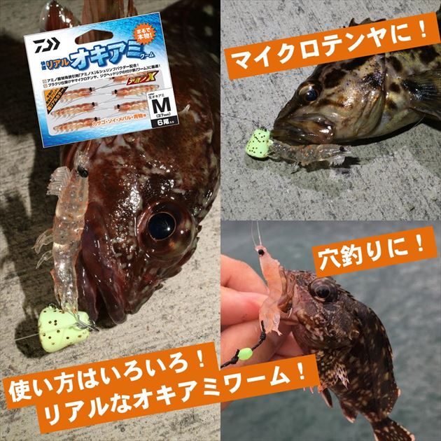 ワーム閲覧用 71OCt2VUzKL._AC_UF350,