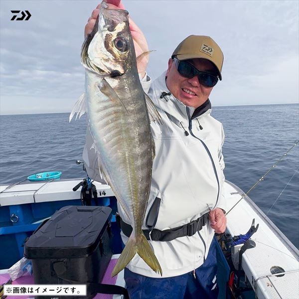 ダイワ 仕掛け 船ジャンボアジ・イサギ仕掛け 3本針2セット入り 10/11