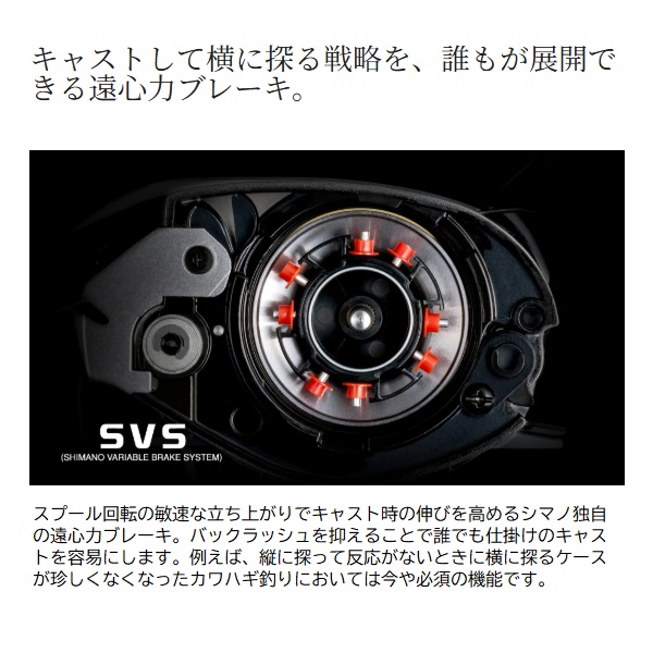 シマノ 両軸リール 25スティーレ 100PG(右): リール｜釣具の通販