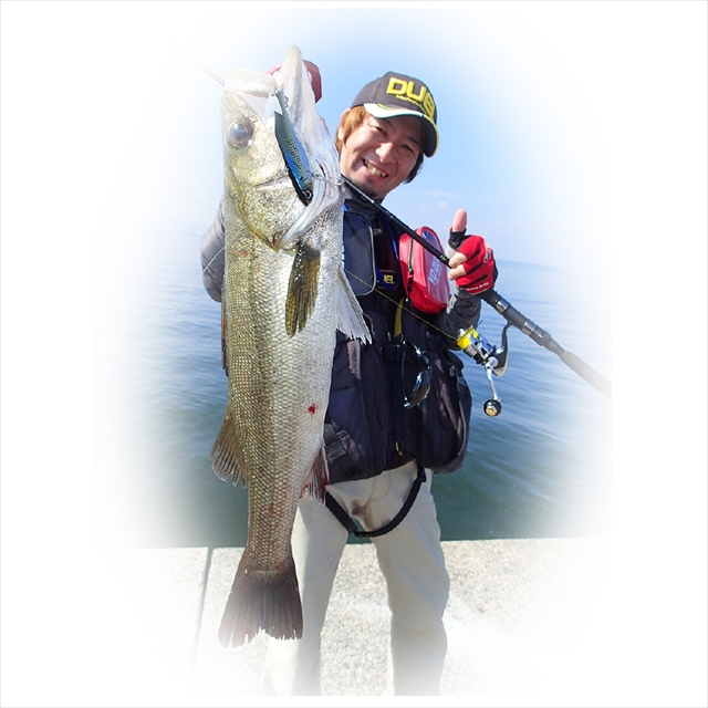 デュエル(DUEL) ハードコア フィンテールバイブ（S） 70mm イワシ