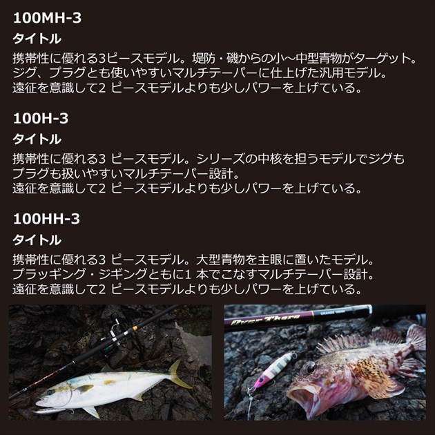 ダイワ　並継　大型魚用サーフロッド　3.9m 100〜300g（約25〜80号）