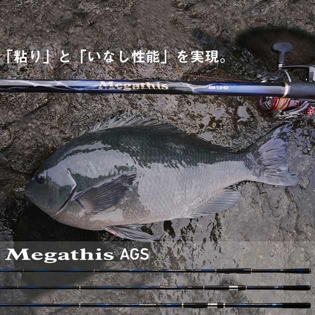 ダイワ(DAIWA) Megathis (HR 遠投)・N 3-53HR・N ブラック