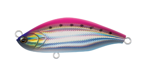 ���p�� �G�A�I�O���W�T�e�`�n�f�W�T�e-�o�h�v