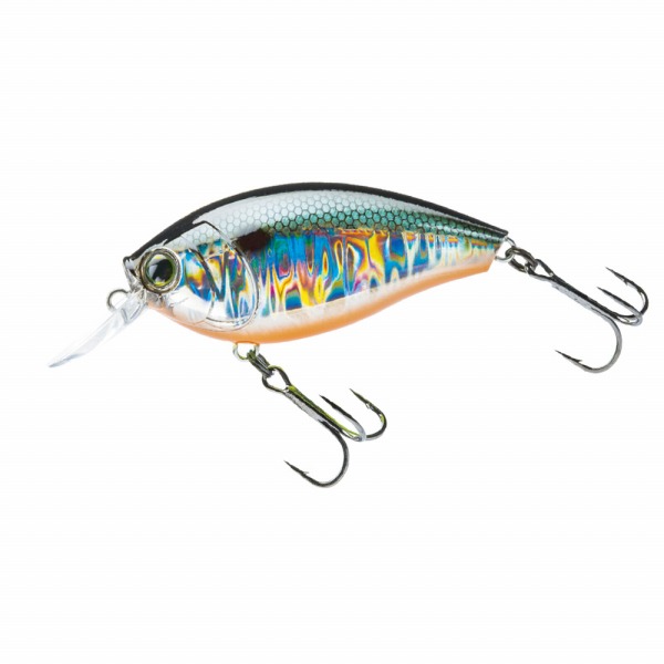 �f���G���i�c�t�d�k�j�@�n�[�h�R�A�@�N�����N�Q�{�@�U�T�e�@�q�P�R�V�T�|�f�s�@�z���e�l�V�|�V���b�h