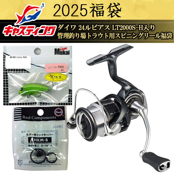DAIWA 24 LUVIAS LT2000S-P スピニングリール ルビアス（ダイワ 24 