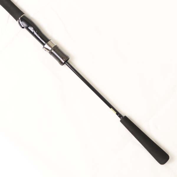 キャタリナBJ AP 60LS DAIWA（釣り） 【目玉商品】ダイワ キャタリナ BJ エア