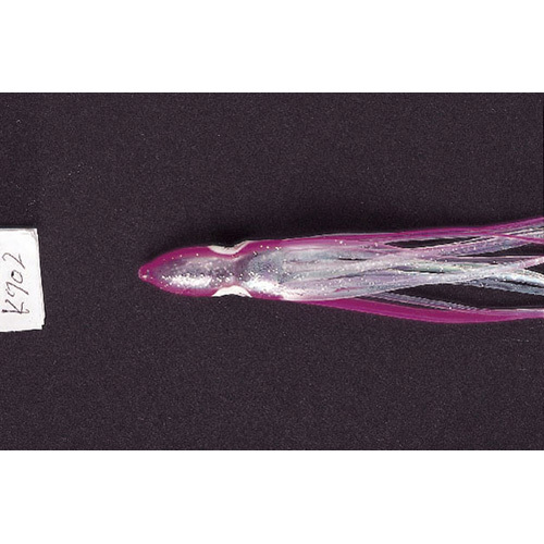 ���}���A LP �^�R��I�[���� 3 K702