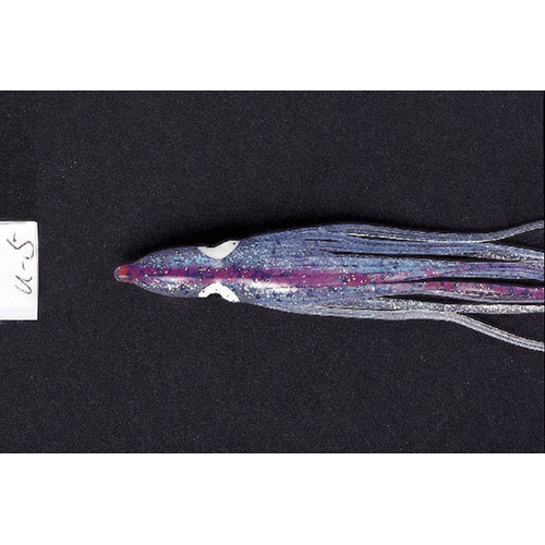 ���}���A�@�k�o�@�^�R�E�I�[�����@�Q�D�T�@�t�T