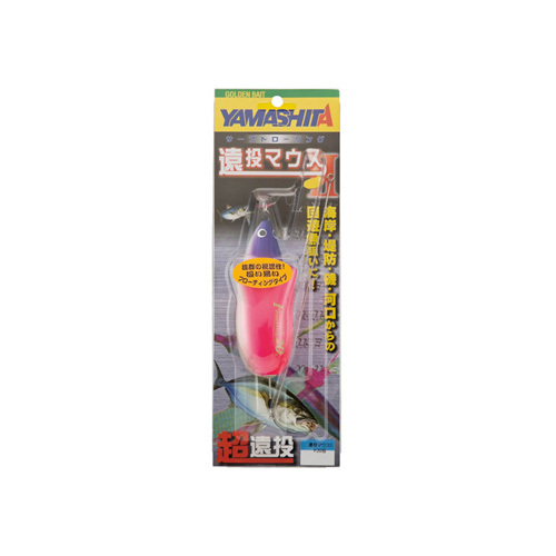 ���}���A �����}�E�X2 F10�y���������z