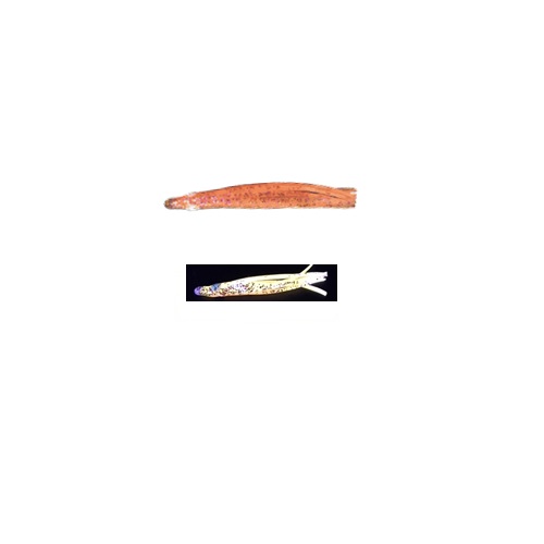 �y�l�R�|�X�Ώەi�z���}�V�^�@�p�j�b�N�x�C�g�@���o���@�P�D�T�@�l�a�O�U�@�f�n�r