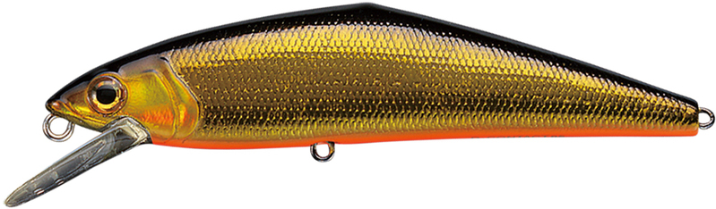 �X�~�X �g���E�g�v���O D-�R���^�N�g85 �L���N�� 01