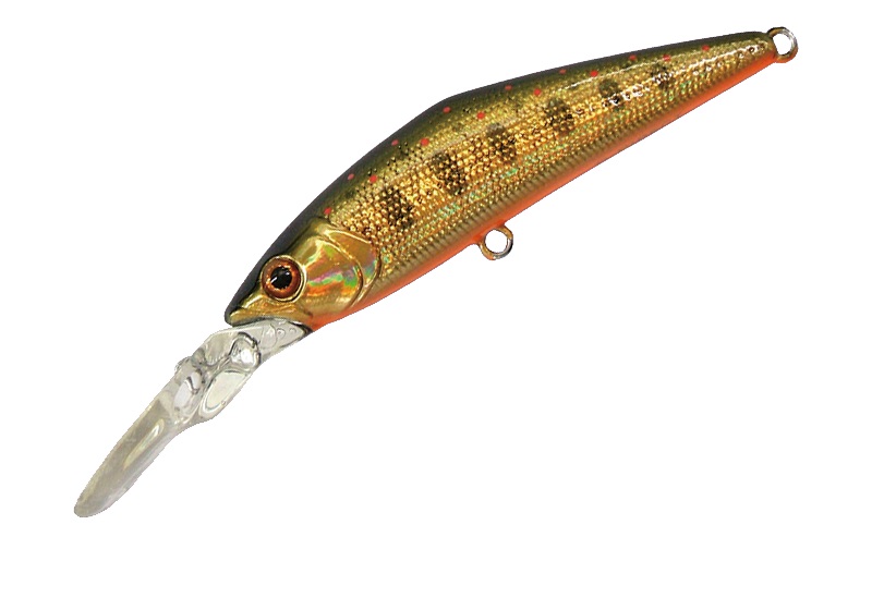 �X�~�X �g���E�g�v���O D-�_�C���N�g G���}�� 23