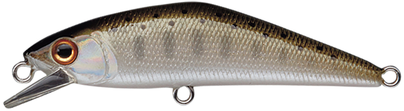 �X�~�X �g���E�g�v���O D-�R���^�N�g72 ���}�� 03