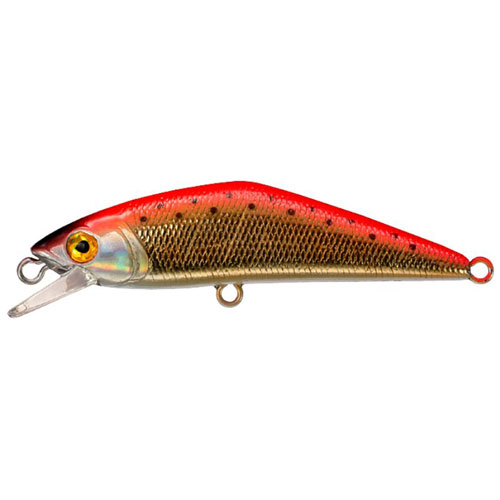 �X�~�X �g���E�g�v���O D�R���^�N�g50 �^�C�v2 �A�J�L�� 02