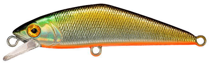 �X�~�X �g���E�g�v���O D�R���^�N�g50 �^�C�v2 TS�n�N 06