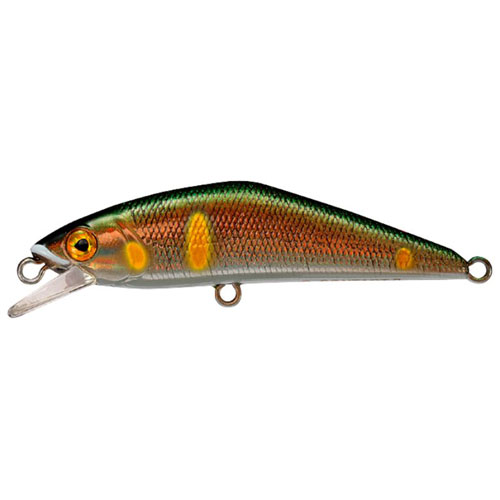 �X�~�X �g���E�g�v���O D�R���^�N�g50 �^�C�v2 �A�����[�U�[ 07