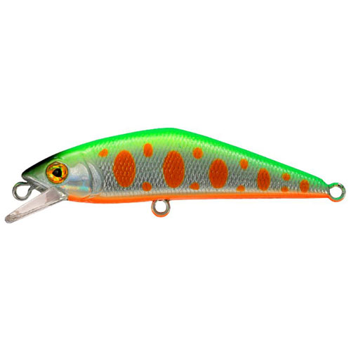 �X�~�X �g���E�g�v���O D�R���^�N�g50 �^�C�v2 ���C���`���[�g�n�N 08