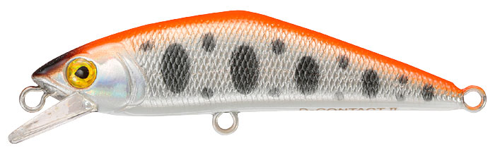 �X�~�X �g���E�g�v���O D�R���^�N�g50 �^�C�v2 �I�����W�n�N 09