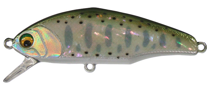 �X�~�X �g���E�g�v���O D-�C���T�C�g 53�A���r���}���A���r 01