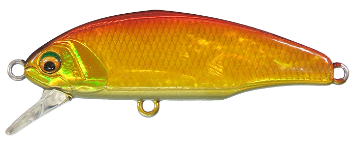 �X�~�X �g���E�g�v���O D-�C���T�C�g 53�A���r �A�J�L���A���r 04