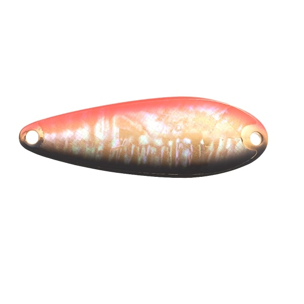 �X�~�X �X�v�[�� �s���A �V�F��II 5g 14:BR/G�y���������z