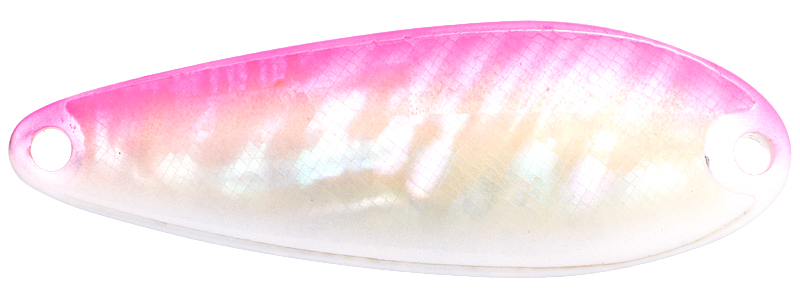 �X�~�X �X�v�[�� �s���A �V�F��2 5g WP/S 16�y���������z